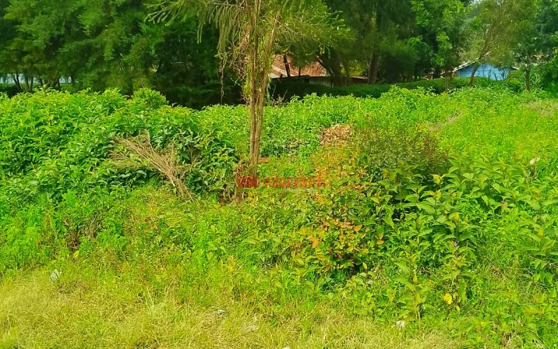 Prime 50 By 100 Commercial Plot For Sale In Kikuyu, Migumoini