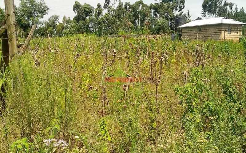 Prime Residential Plot For Sale In Kikuyu, Ng'amba