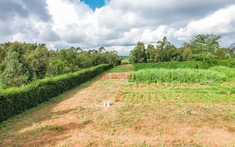 Prime Residential 50 By 100 Plot For Sale