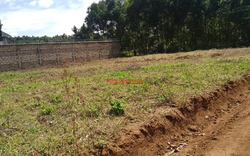 Prime residential 50 by 100 plot sale