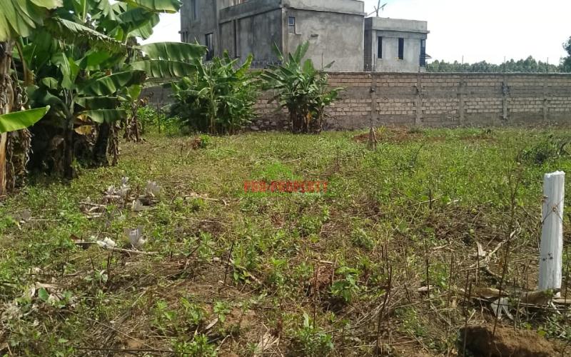 Prime Residential 50 By 100 Plot Sale