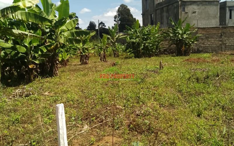 Prime Residential 50 By 100 Plot Sale