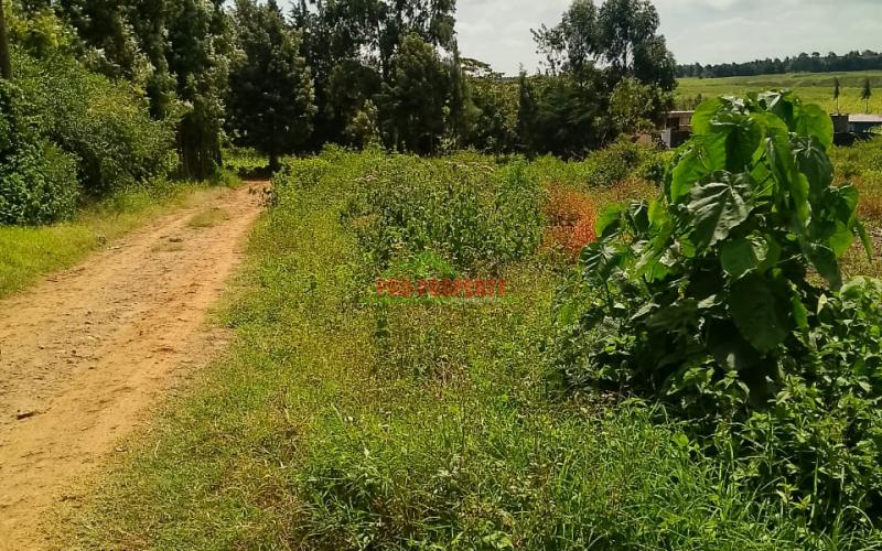 Prime Residential 50 By 100 Plot For Sale