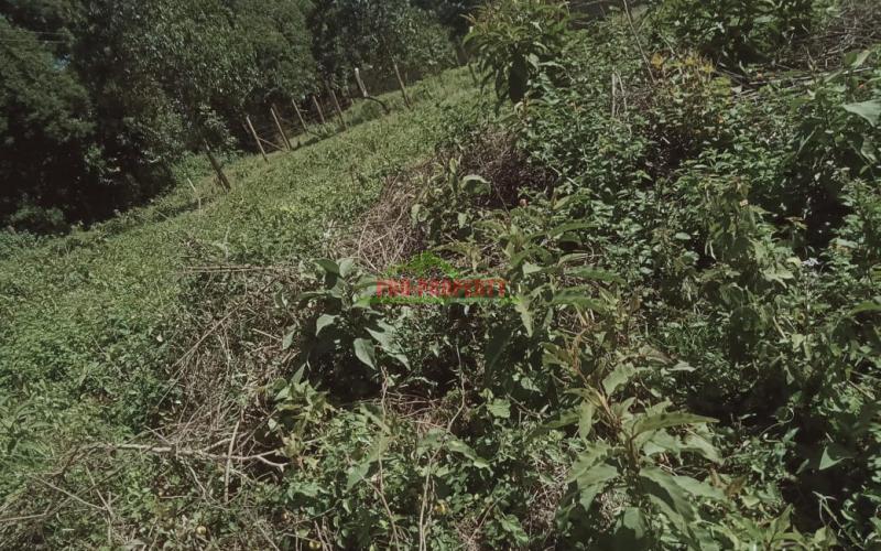 Prime Residential 50 By 100 Plot For Sale