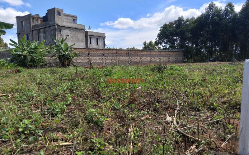 Prime Residential 50 × 100 Plot For Sale In Lusingeti.
