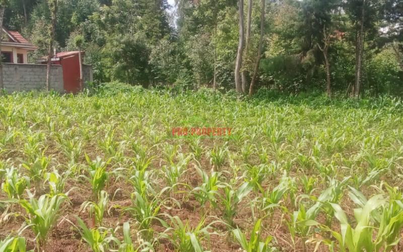 Prime 100 By 100 Ft Residential Plot For Sale In Kikuyu,ondiri