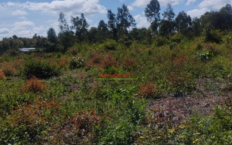Prime 50 By 100 Residential Plots For Sale In Kikuyu Ondiri