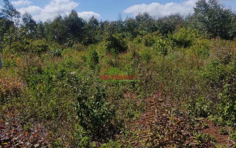 Prime 50 By 100 Residential Plots For Sale In Kikuyu Ondiri