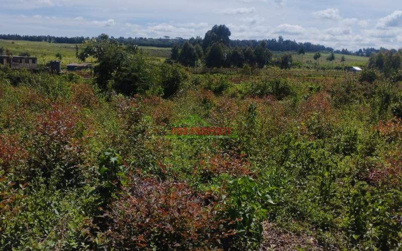 Prime 50 By 100 Residential Plots For Sale In Kikuyu Ondiri