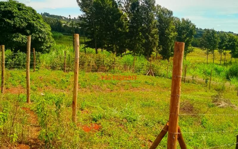 Prime 50 By 100 Plot For Sale In Kikuyu,kamangu