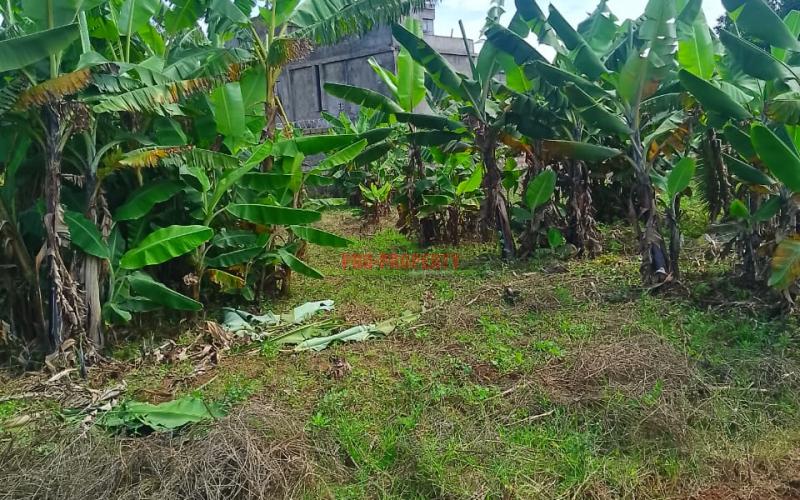 Prime 50 By 100 Plots For Sale In Kikuyu Lusingetti