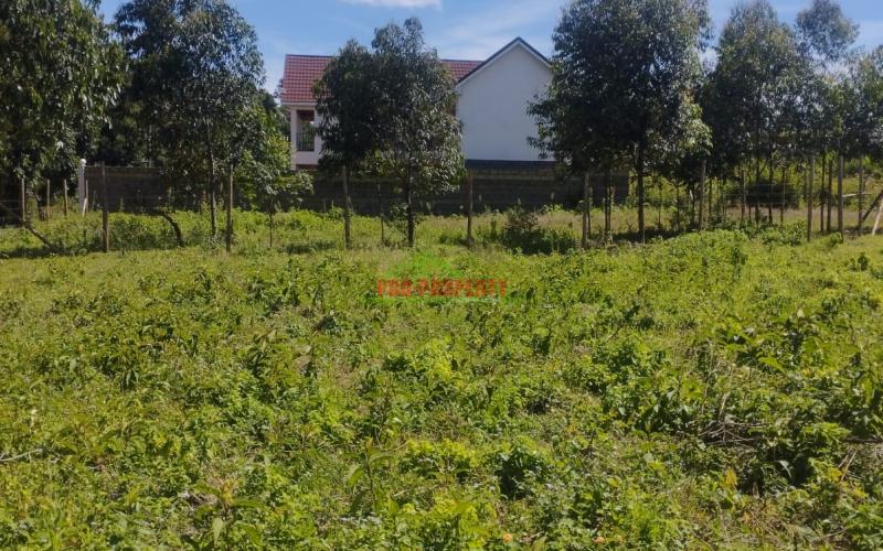 Prime  60by100ft plot for sale in Kikuyu-Ondire