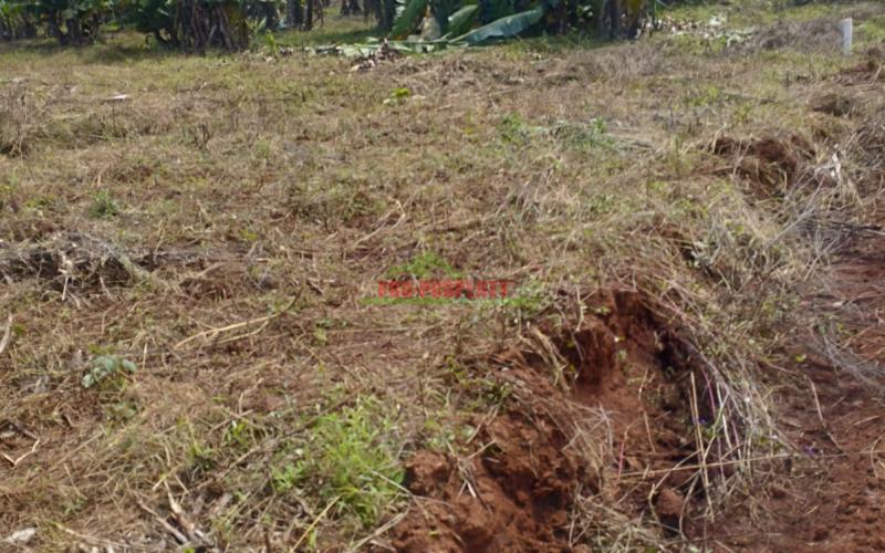 Prime 50 By 100 Ft Residential Plots For Sale In Kikuyu-lusigetti
