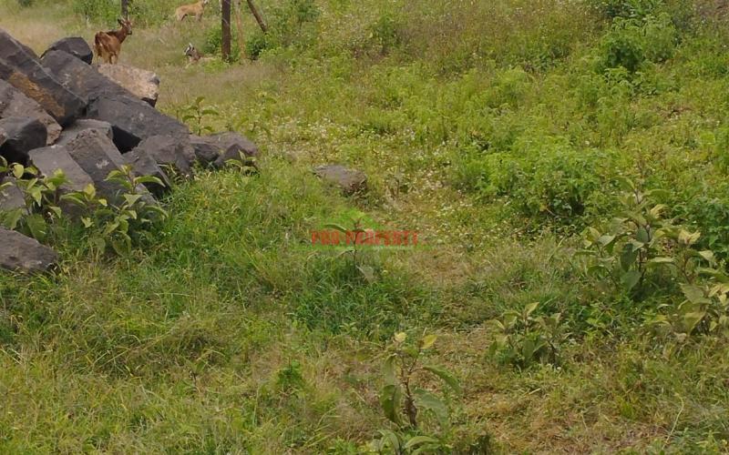 A Prime 50by100ft Plot For Sale In Kikuyu -kamangu