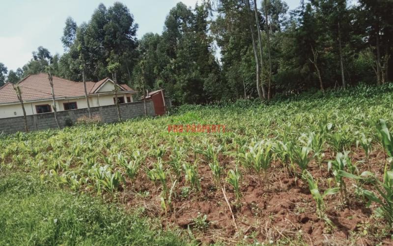 Prime 100 by 100 Residential Plot for Sale In Kikuyu, Kamangu