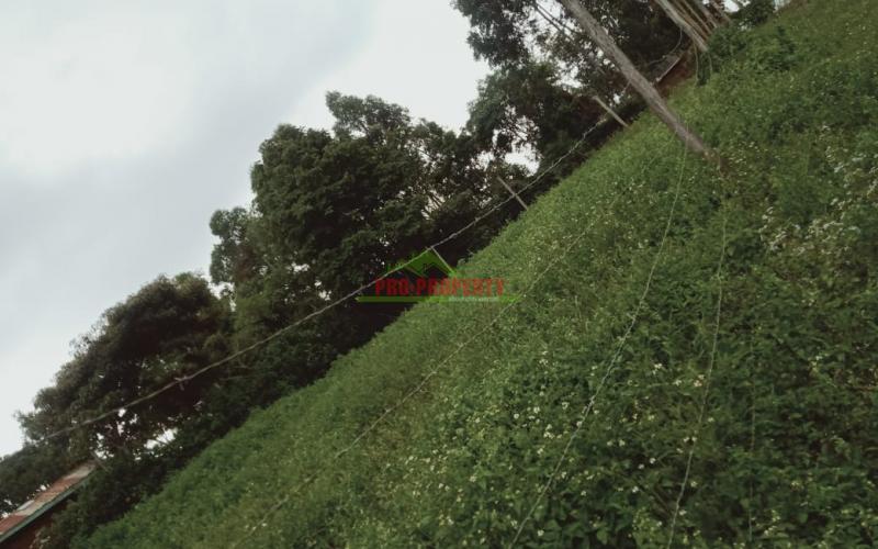 Prime 50 By 100 Residential Plots For Sale In Kikuyu Kamangu