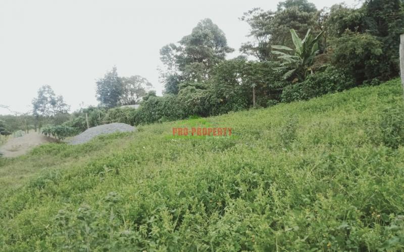 Prime 50 By 100 Residential Plots For Sale In Kikuyu Kamangu