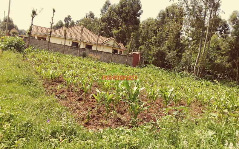 Prime Residential 100 ×100 Plot For Sale Along Ondiri Road