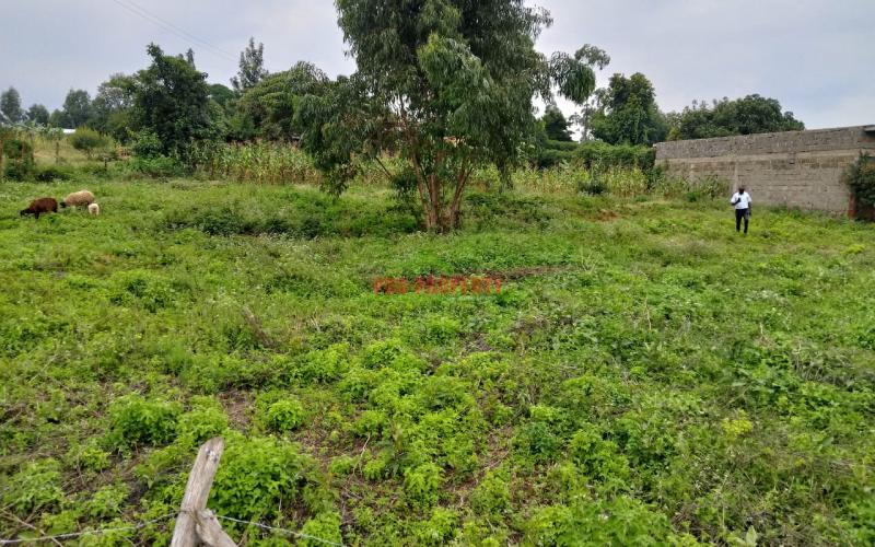 Prime Residential  100 × 100 Touching Tarmac Plots For Sale In Lusingeti