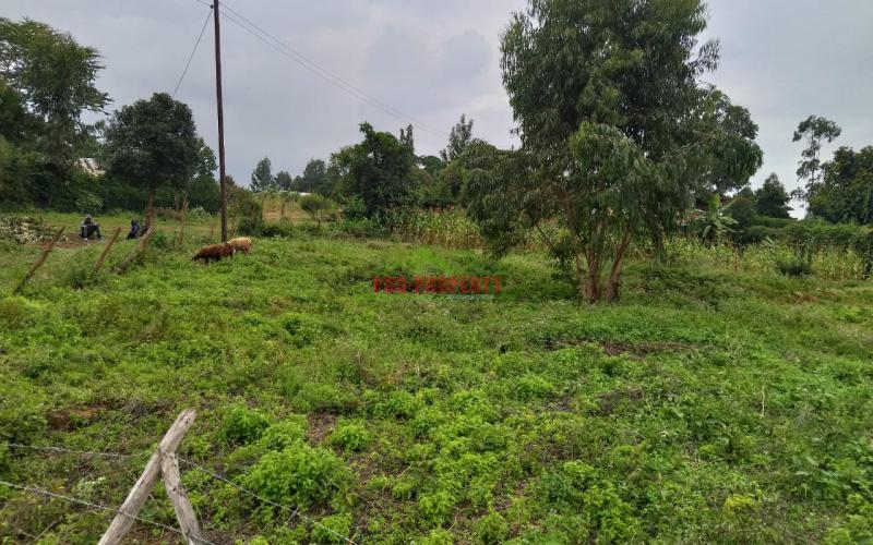 Prime Residential plot for sale in kikuyu, lusingetti