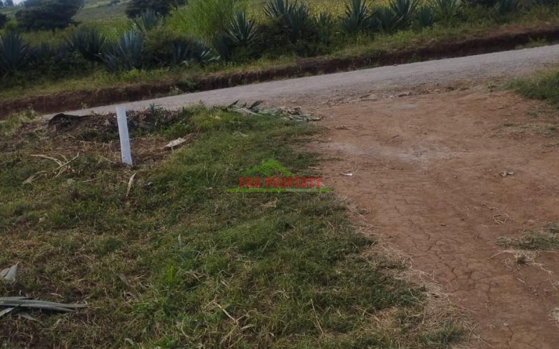 Real Estate Investment Opportunity In Nachu,lusingetti