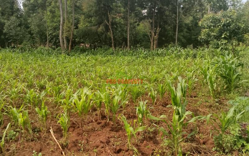 Prime Residential 100 By 100 Plot For Sale