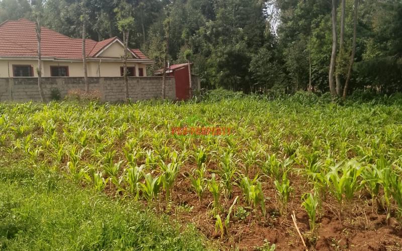 Prime Residential 100 By 100 Plot For Sale