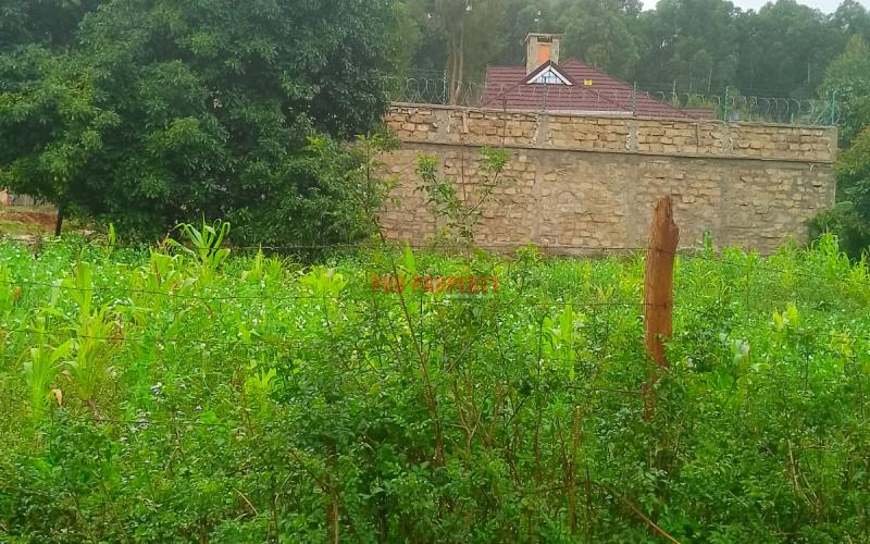 Prime Residential 50 By 100 Plot For Sale