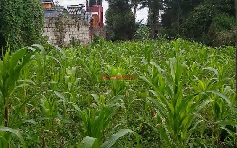 Prime Commercial Plot Touching Tarmac For Sale In Kikuyu, Thogoto