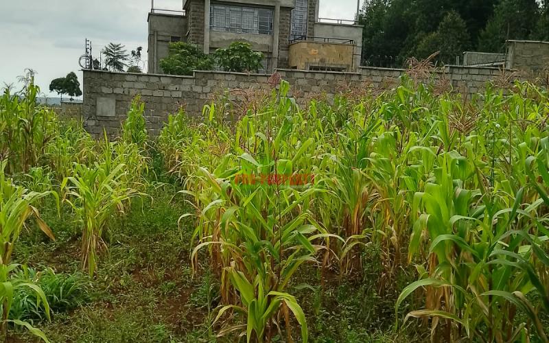 Prime Residential 50 By 100 Plot For Sale