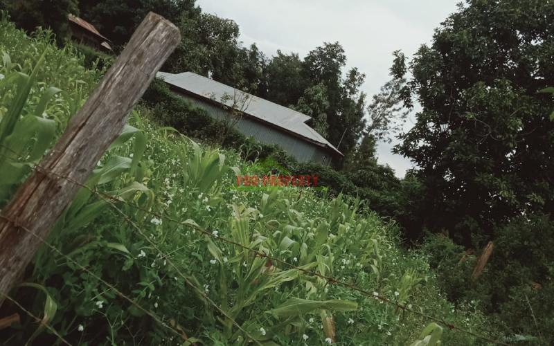 Prime 50 By 100 Plot For Sale In Kikuyu, Gikambura