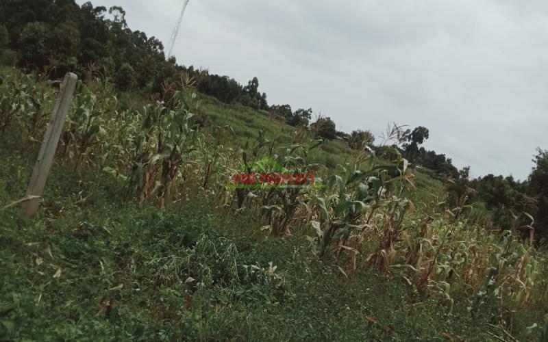 Prime 80 By 100 Residential Plot For Sale In Kikuyu, Gikambura