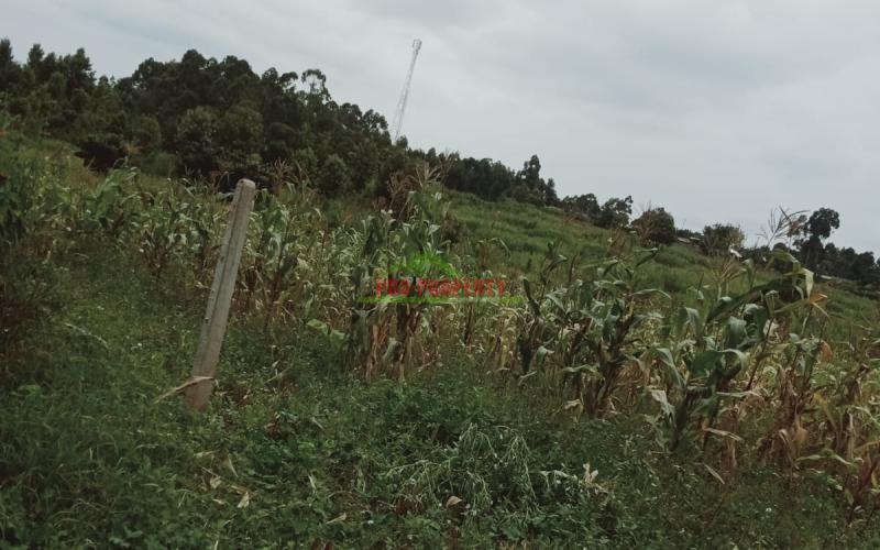 Prime 80 By 100 Residential Plot For Sale In Kikuyu, Gikambura