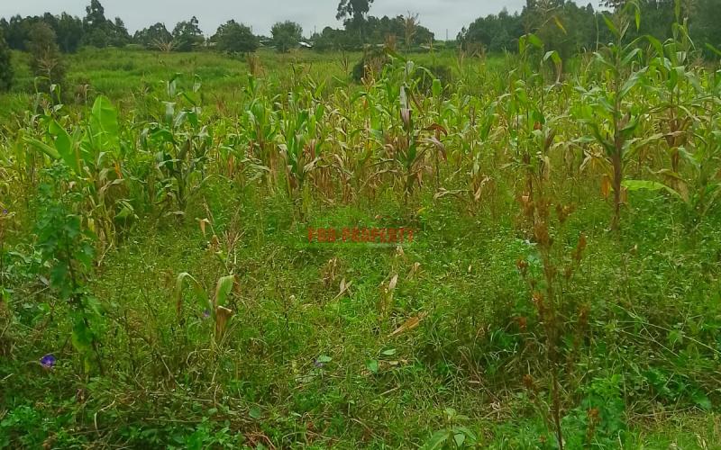 Prime Residential 50 By 100 Plot For Sale