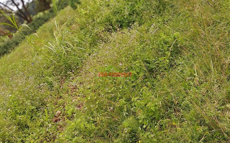 Ready To Build Plots For Sale In Ondiri, Kikuyu