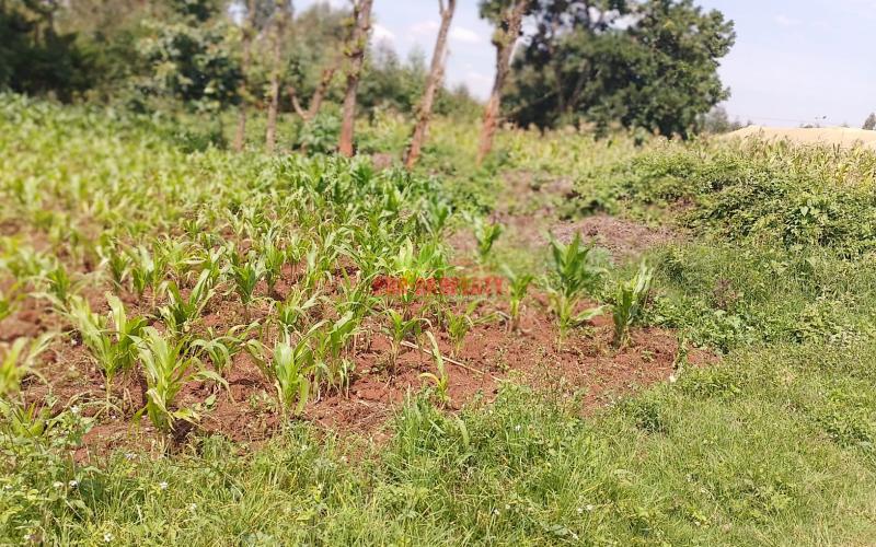 Ready To Build Plots For Sale In Ondiri, Kikuyu