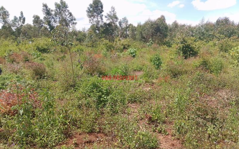 Ready To Build Plots For Sale In Ondiri, Kikuyu