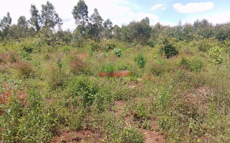 Ready To Build Plots For Sale In Ondiri, Kikuyu