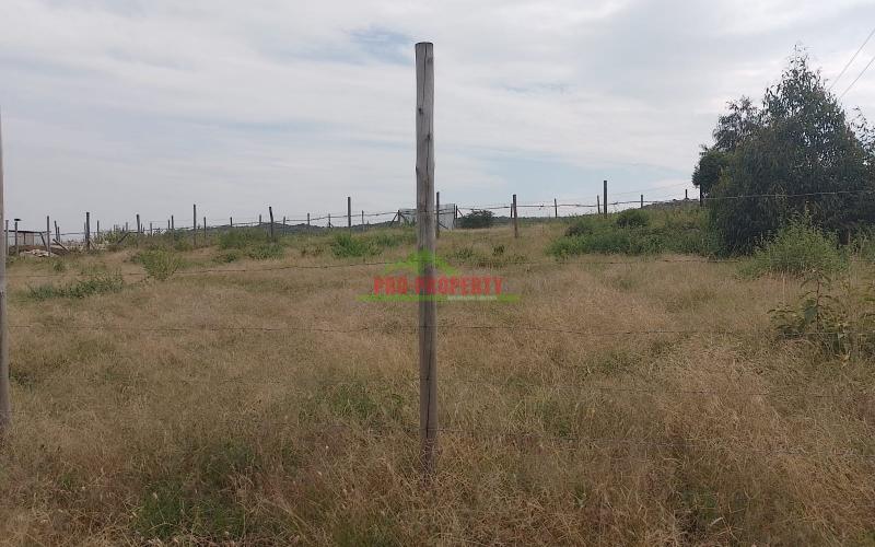 Prime ¼ Acres For Sale In Nachu, Kikuyu