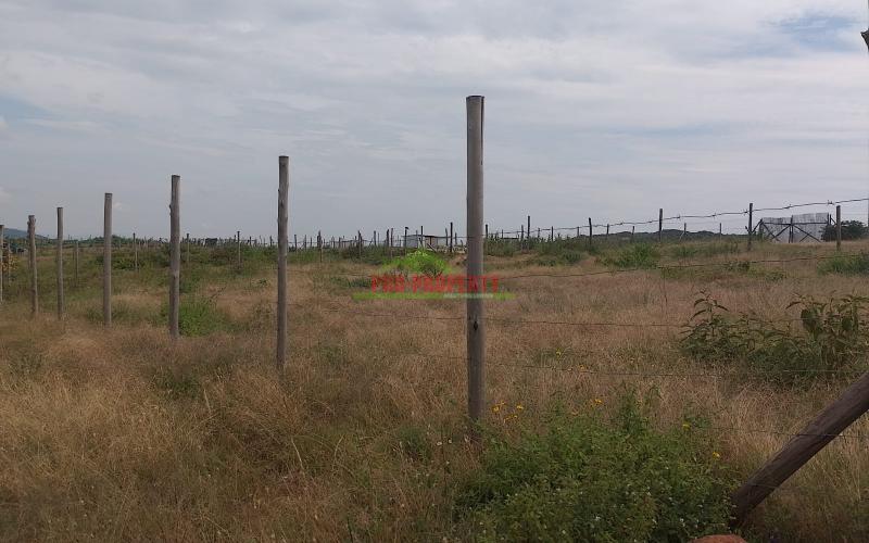 PRIME ¼ ACRES FOR SALE IN NACHU, KIKUYU