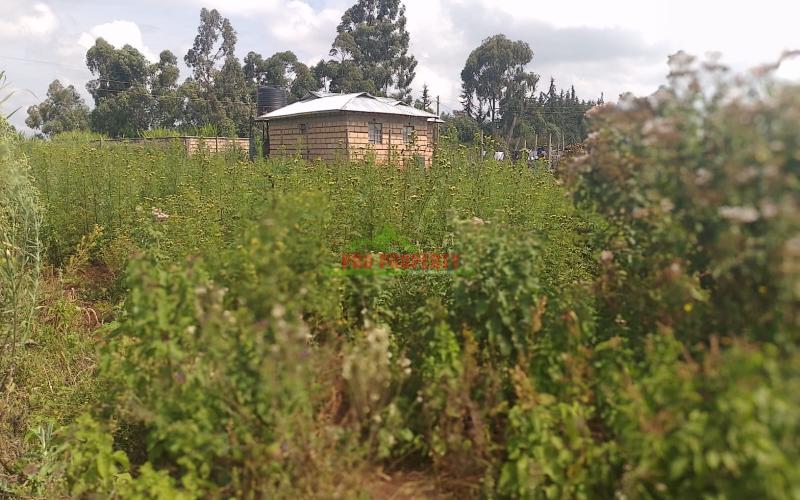Prime Plots For Sale In Thigio, Kikuyu