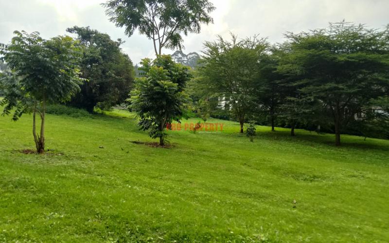 Prime Residential 100 × 100 Plots For Sale In Ngong, Tulivu Estate