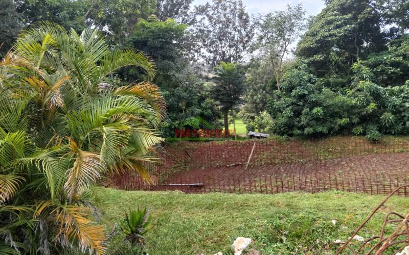 Prime Residential 100 × 100 Plots For Sale In Ngong, Tulivu Estate