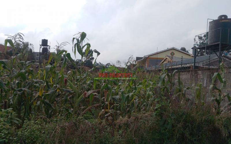 Prime Ready To Build Plots For Sale In Sigona