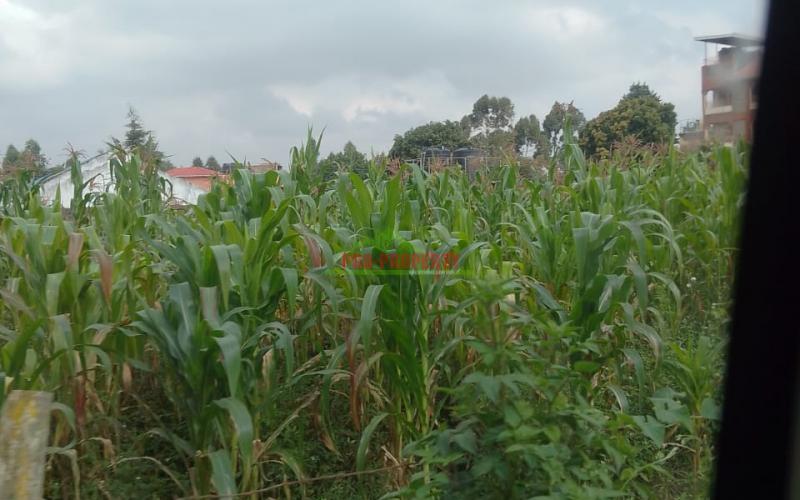 First Class Plots For Sale In Sigona