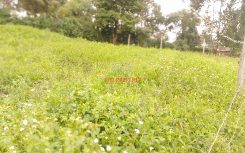 Ready To Build Plots For Sale In Kamangu