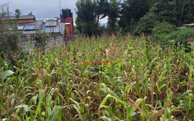 Prime Commercial 100 × 100 Touching Tarmac Plot For Sale