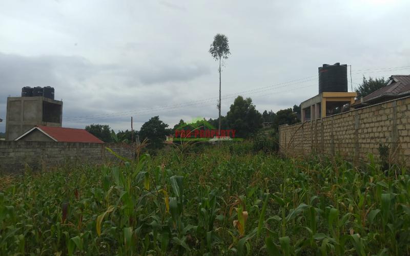 Prime Residential 50 × 100 Plots For Sale