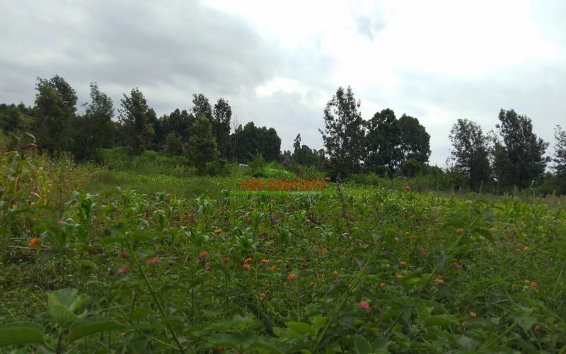 Prime Residential 70 By 100 Plot For Sale In Ngando, Gikambura