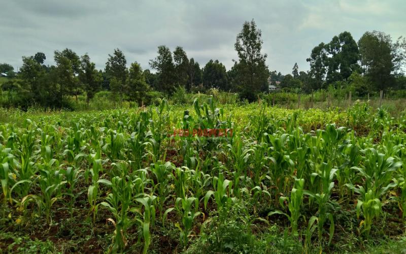 Prime Residential 70 By 100 Plot For Sale In Ngando, Gikambura